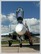 Radom Air Show 2009