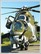 Radom Air Show 2009