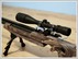 CZ 200s 'Grinch'