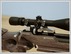 CZ 200s 'Grinch'