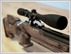 CZ 200s 'Grinch'