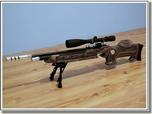 CZ 200s 'Grinch'