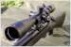 Sightron SIII 6-24x50 FFP 