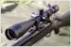 Sightron SIII 6-24x50 FFP 