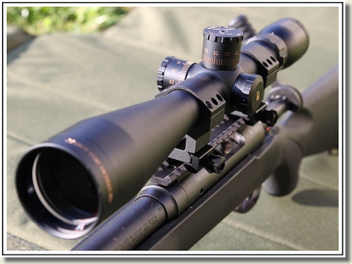 Sightron SIII 6-24x50 FFP