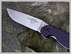 EDC - Ontario Rat I