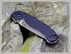EDC - Ontario Rat I