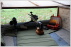 Long Range