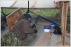 Long Range